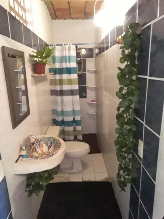 Blue Pepper Beds Sayulita Hostel ภายนอก รูปภาพ