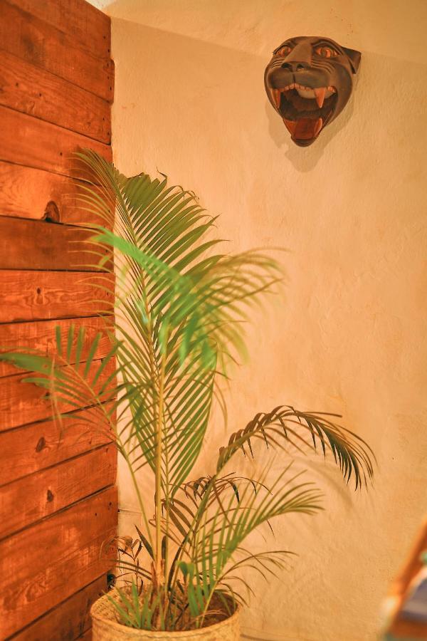 Blue Pepper Beds Sayulita Hostel ภายนอก รูปภาพ